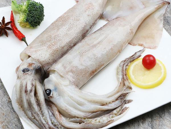 Argentine squid